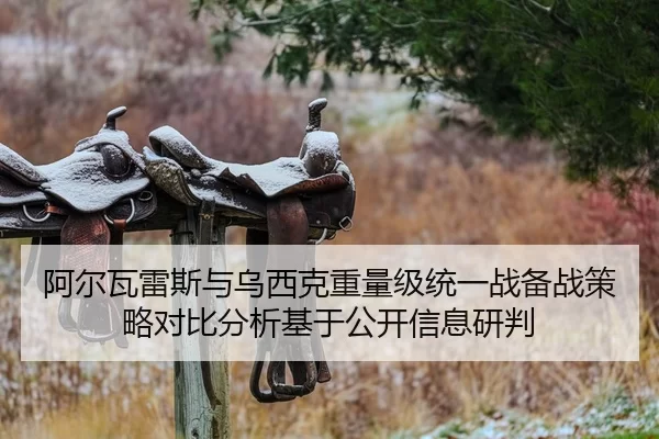 阿尔瓦雷斯与乌西克重量级统一战备战策略对比分析基于公开信息研判